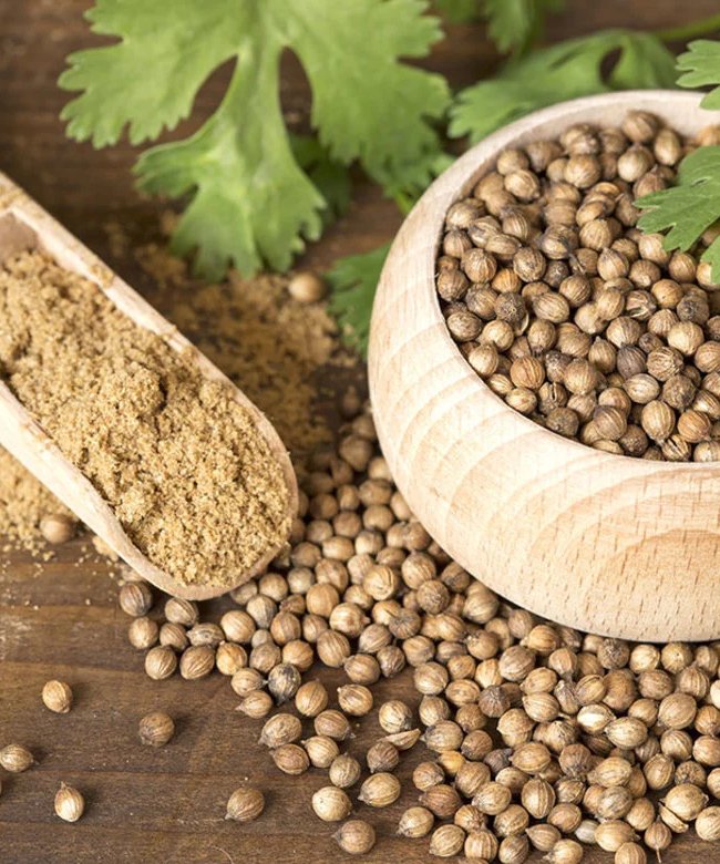 Coriander seed