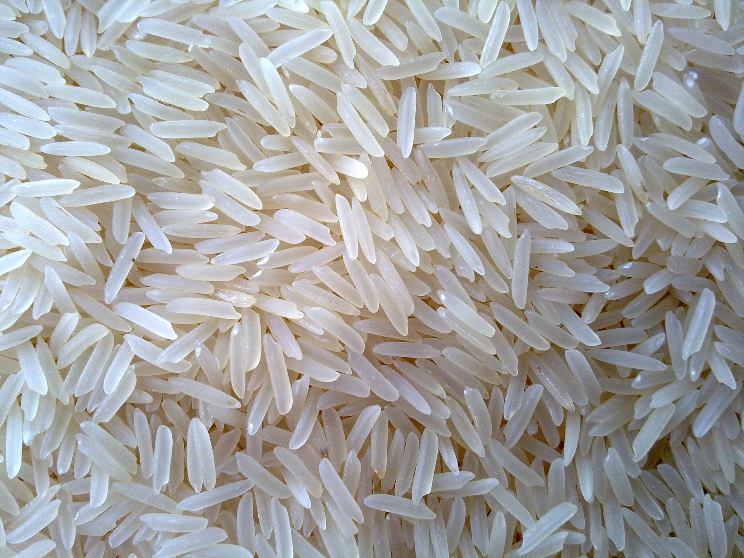 basmati rice