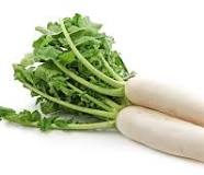 Radish