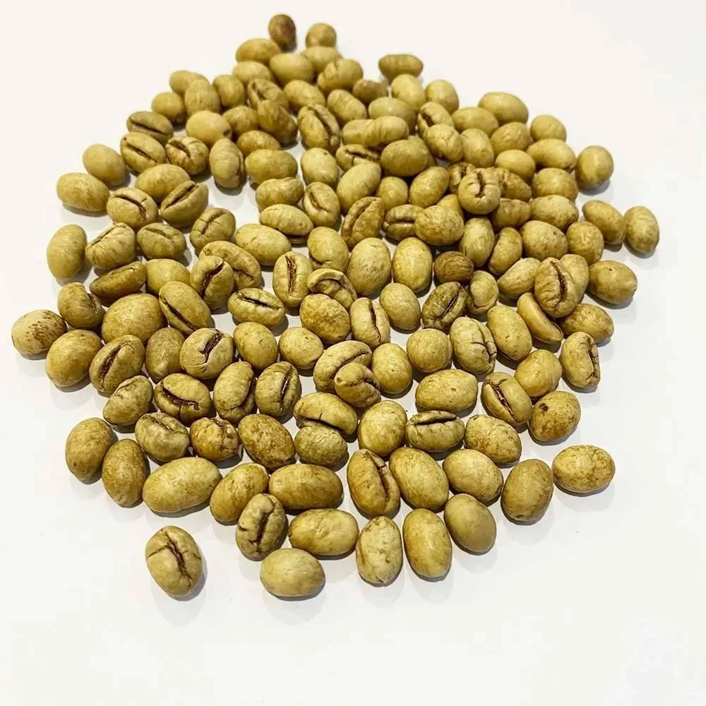 Roasted / Unroasted Robusta Coffee Beans