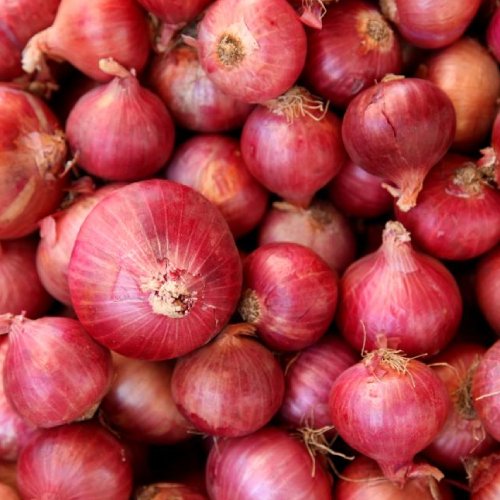 Onion