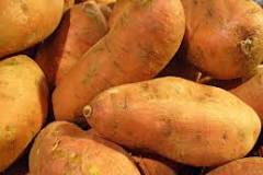 Sweet Potato