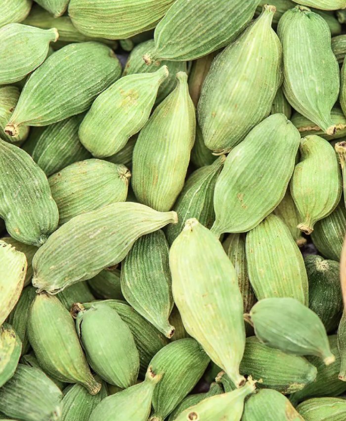 Cardamom