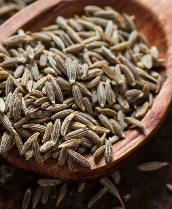 cumin seed