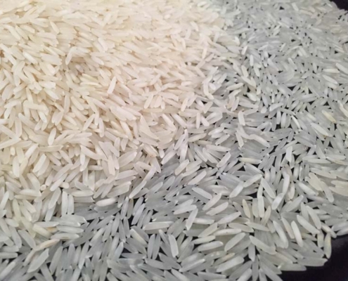TRADITIONAL RAW BASMATI RICE