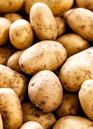 Potato