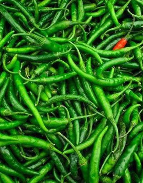 Green Chilli
