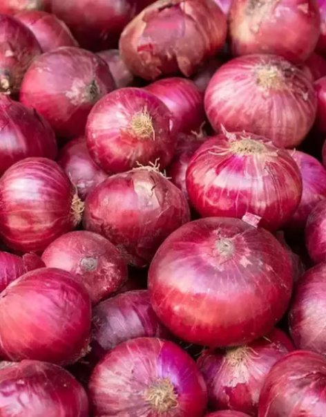 Onion