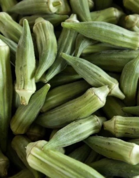 Okra