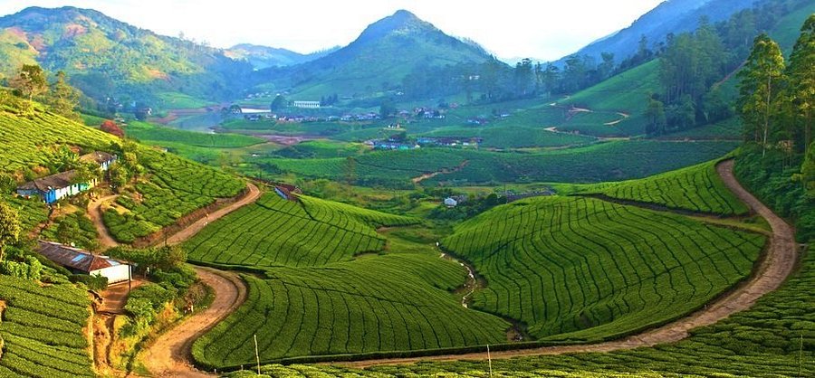 Madurai, Megamalai, Thekkady Package (2N/3D)