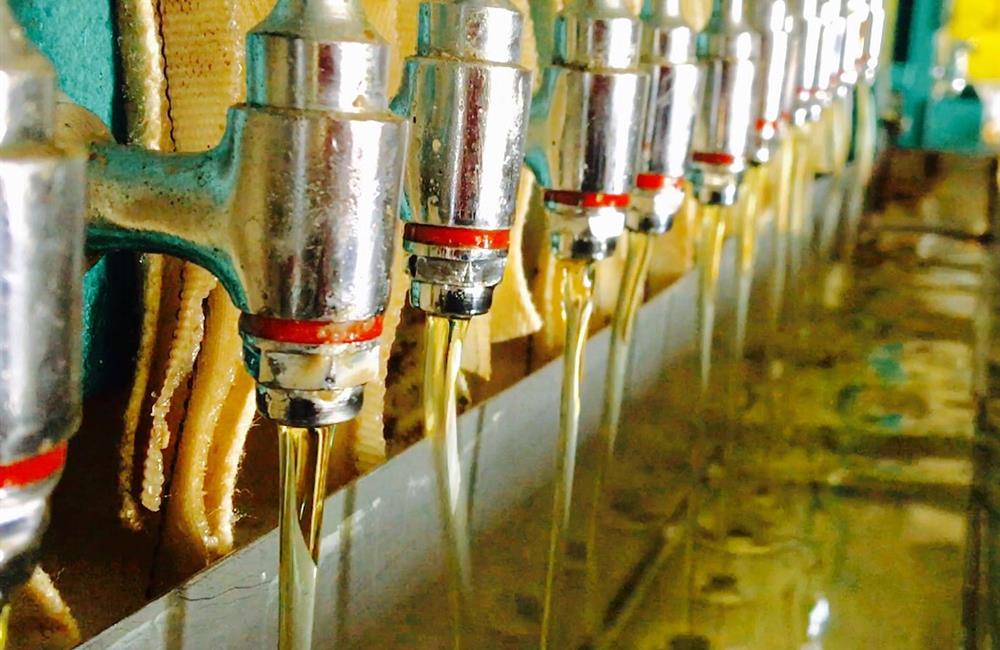 Oil Recycling Equipment