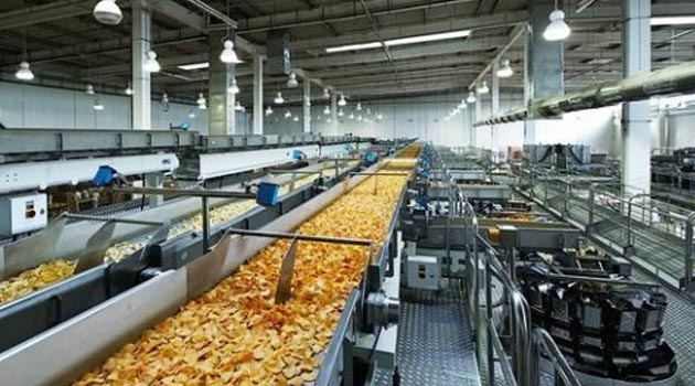 Coconut Dehusking Machine