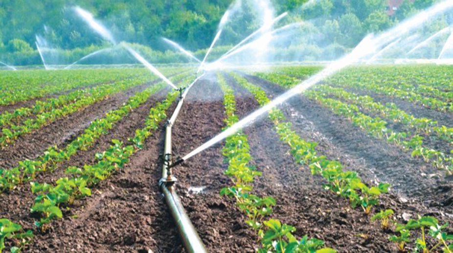Irrigation Equipment & Systems