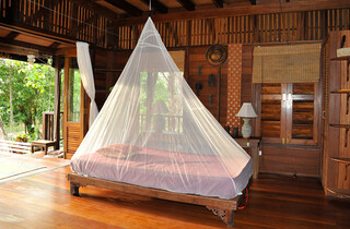 Mosquito, Insect & Bugs Netting