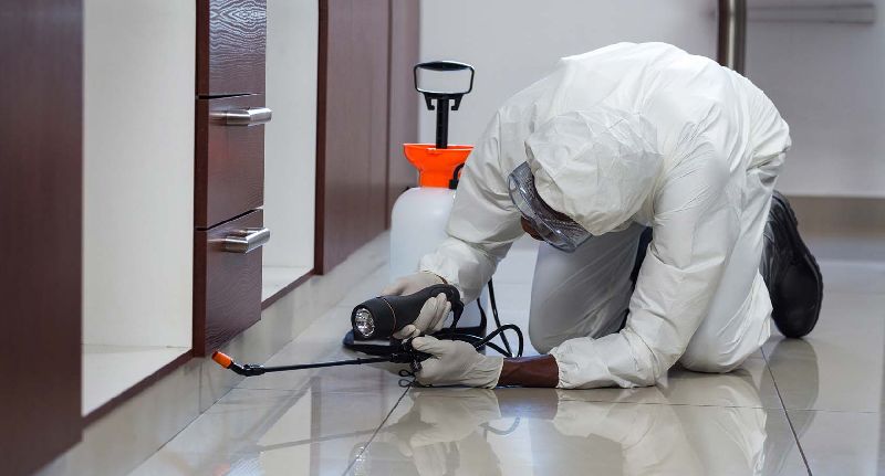 Pest Control & Termite Control Services