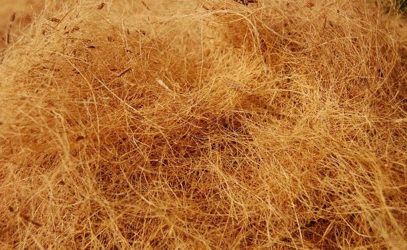 Coir & Agro Products