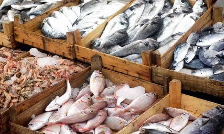 Seafood Supplies