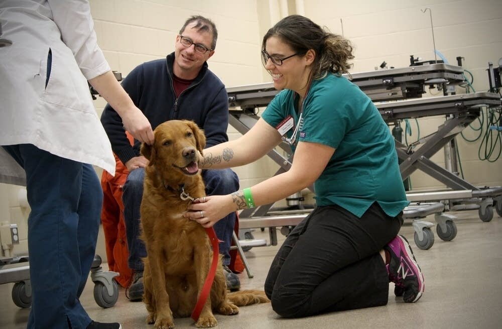 Animal Health Care and Veterinary Medicines