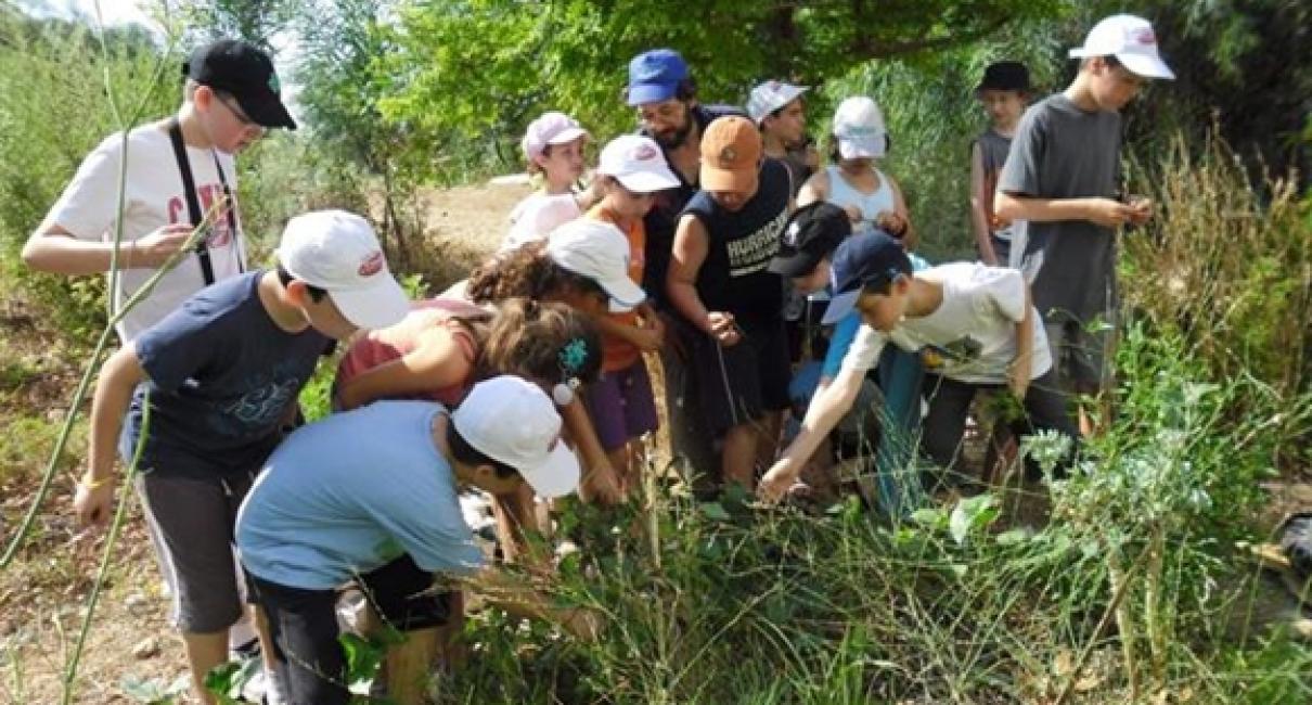 Environment Services