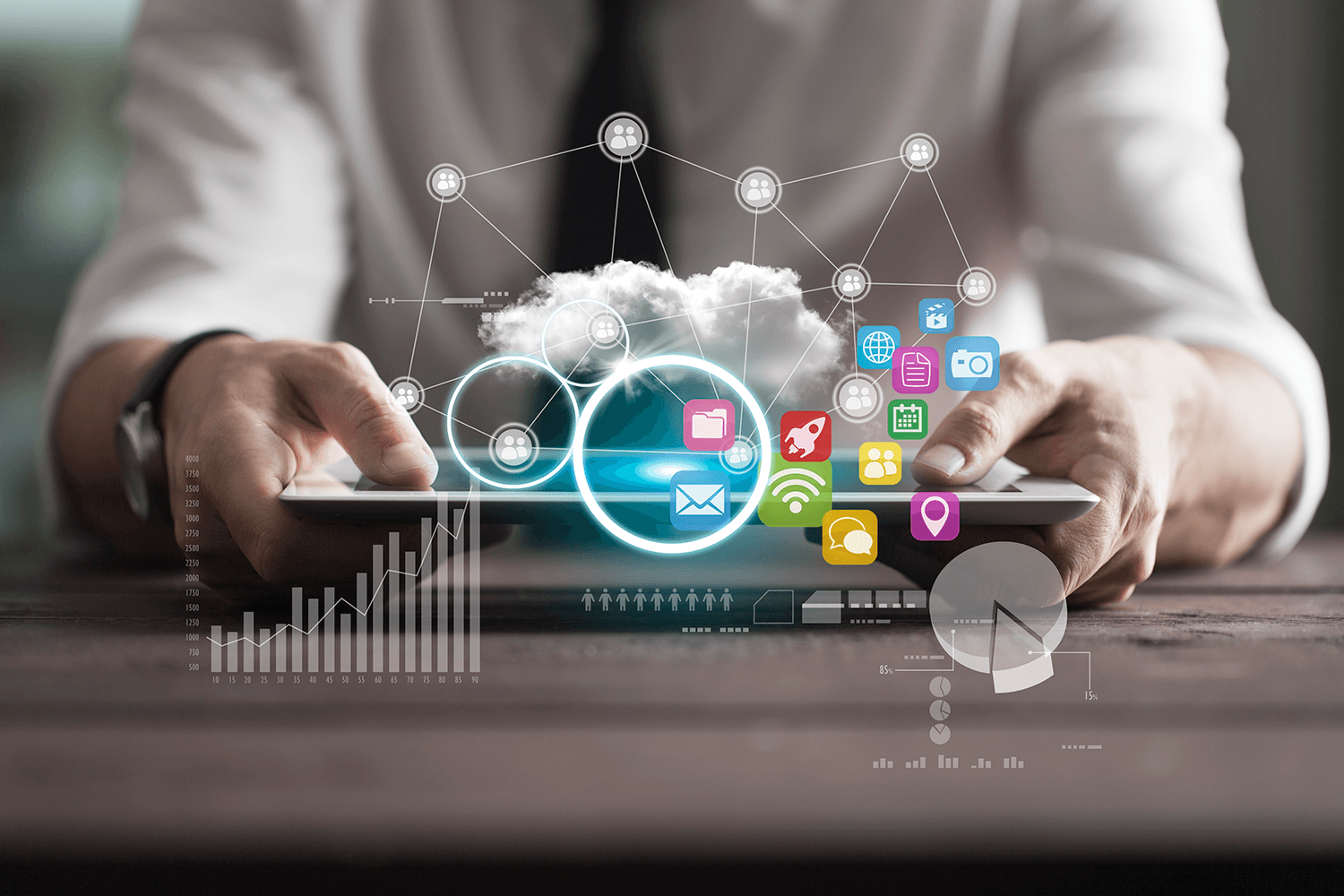 Software Development & IT Services