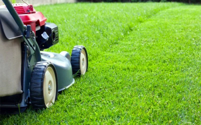 Lawn Development Services