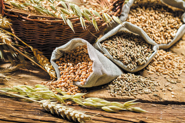 Food Grains, Cereals & Flour