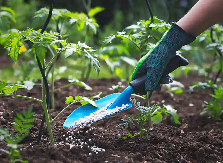 Agriculture Equipment and Supplies