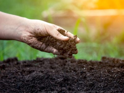 Soil Additives & Fertilizers