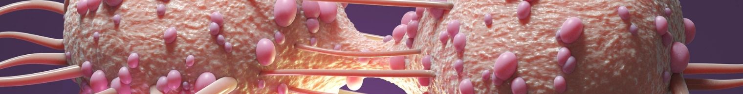 Cancer, TB & Tumour Drugs Cancer, TB & Tumour Drugs