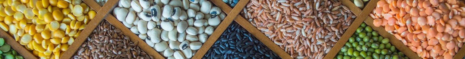 Food Grains, Cereals & Flour