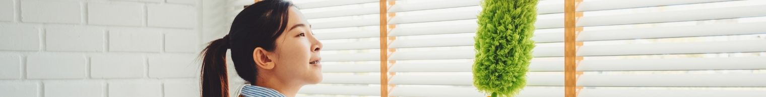 Mops, Brooms & Dusters