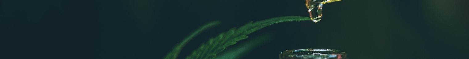 Oil Plant and Extraction Machinery