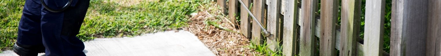 Pest Control & Termite Control Services