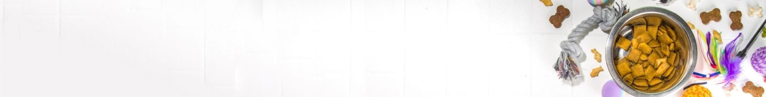 Pet Furniture, Accessories & Products