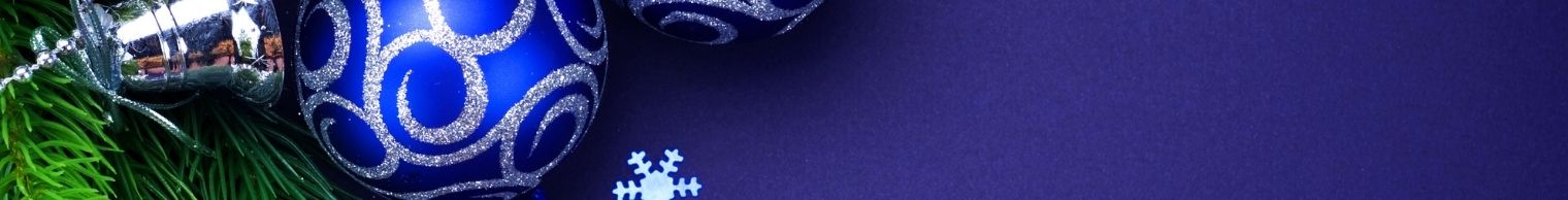 Silver Jewelry and Ornaments