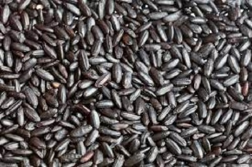 Black Grains