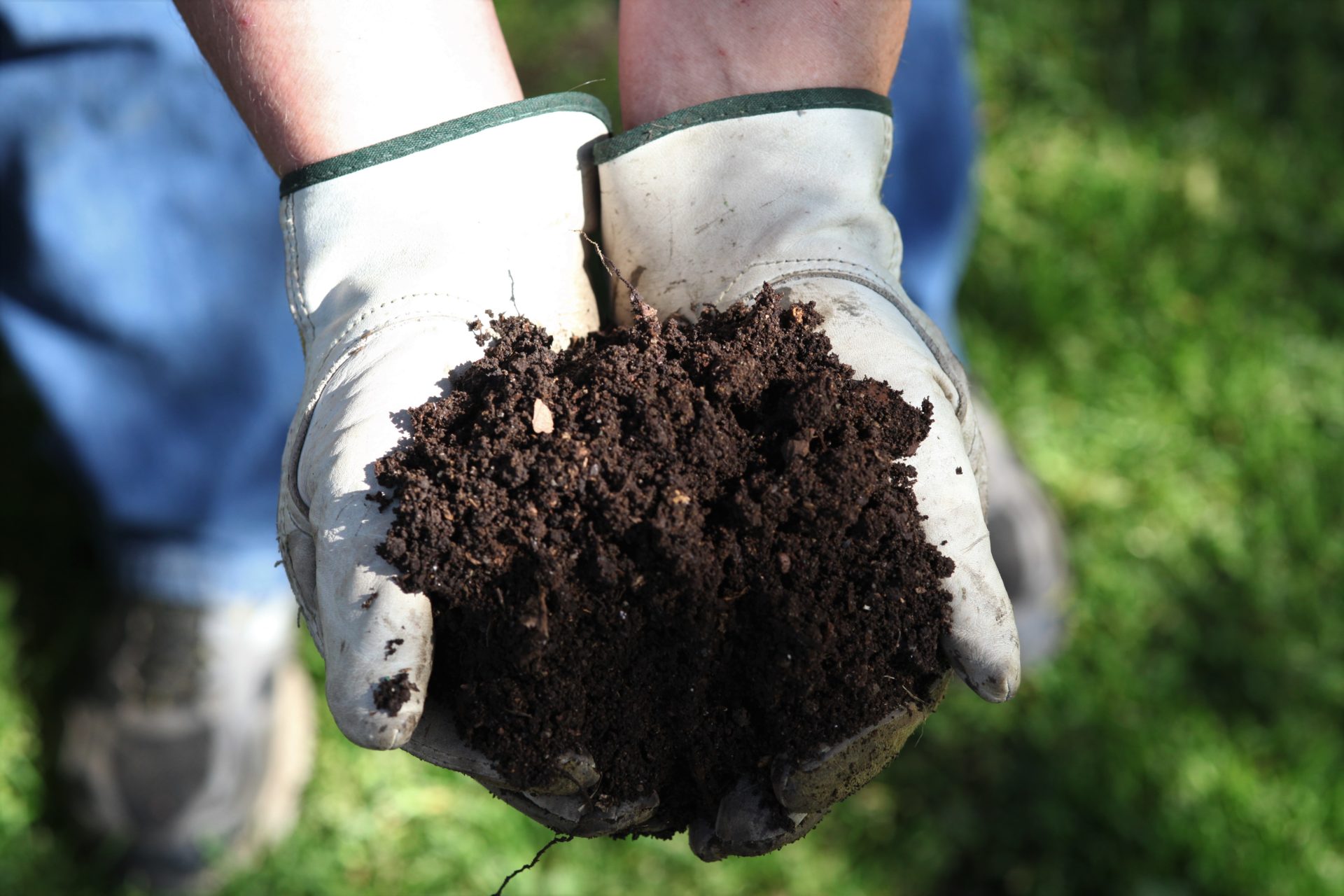 Soil Microbes