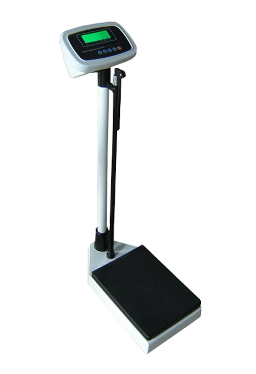 Electronic Body Scale