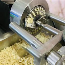 Pasta Extruder Machine