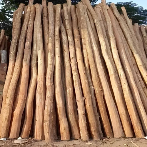 Wooden Pole