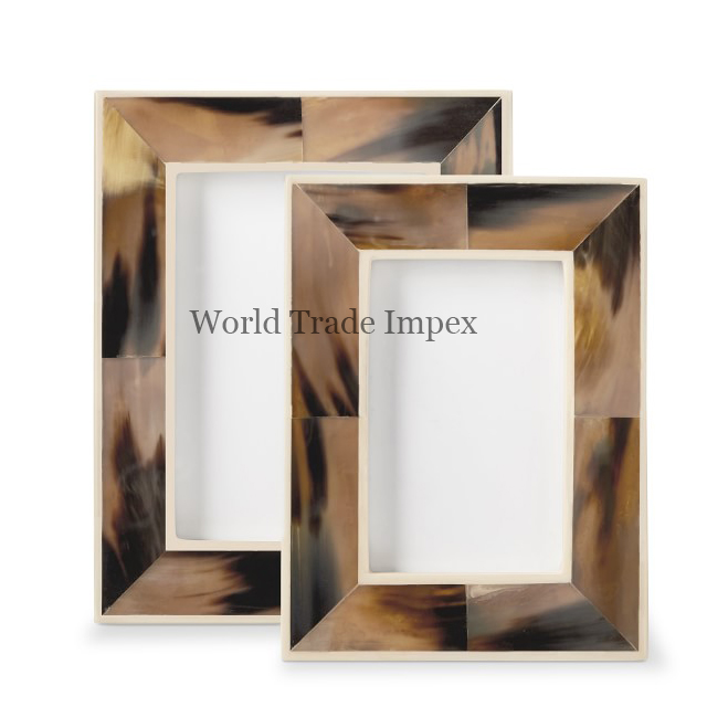Horn Photo Frame