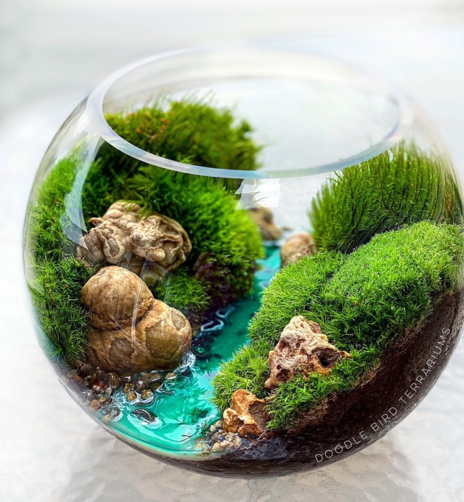 Terrariums