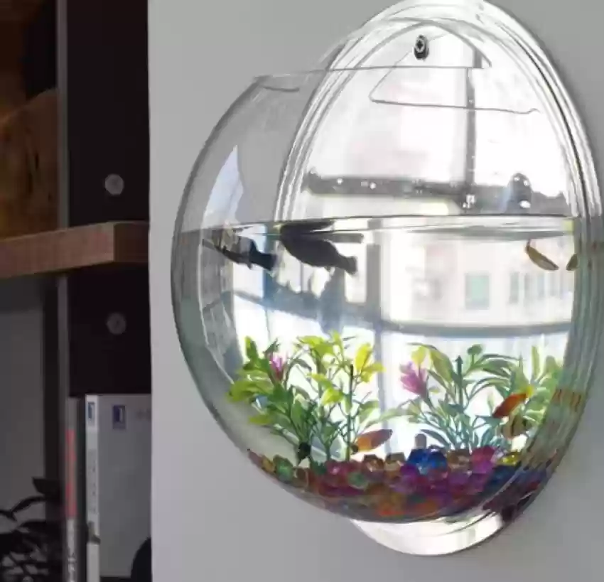 Wall Mounted Aquarium
