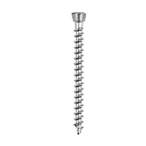 Locking Screws