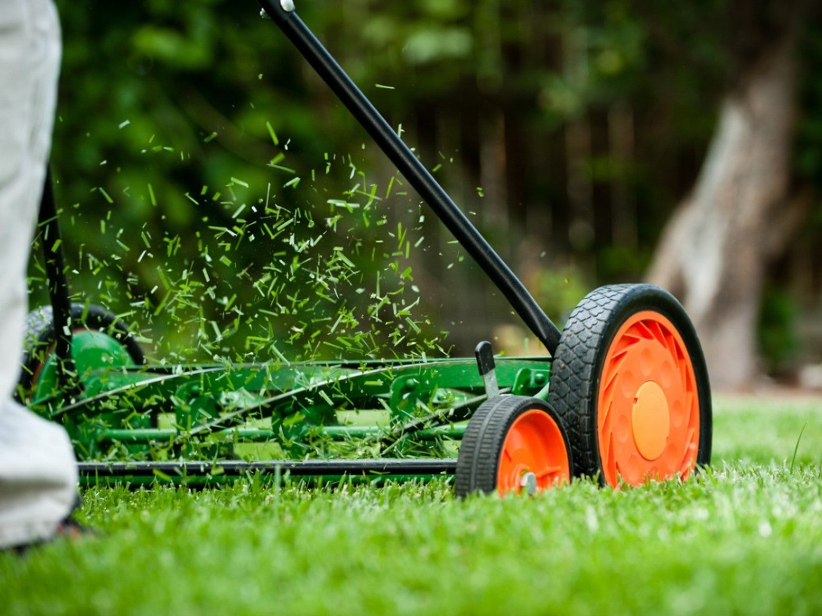 Manual Lawn Mower