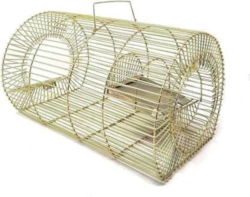 Mice Cage