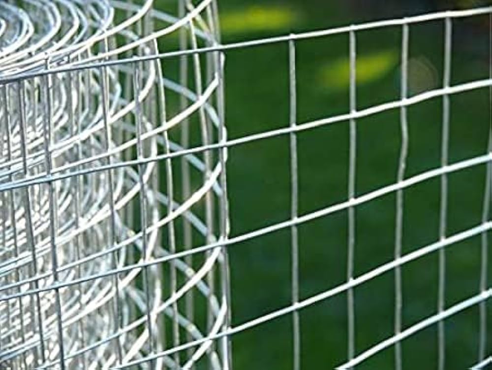 Wire Mesh Fence