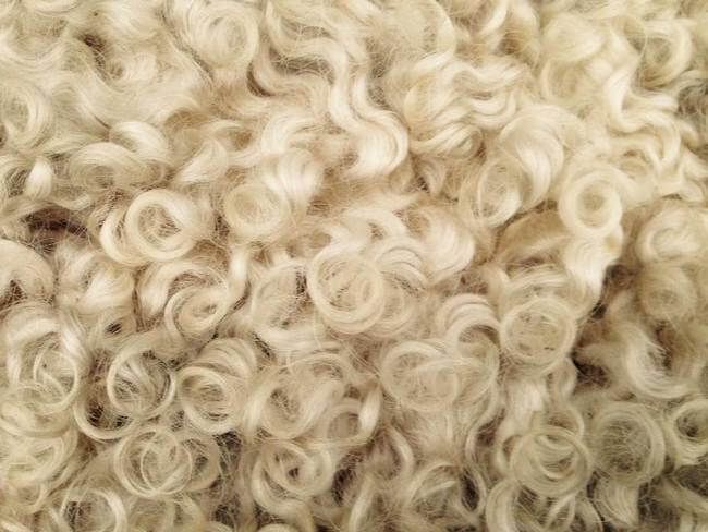Wool Fiber