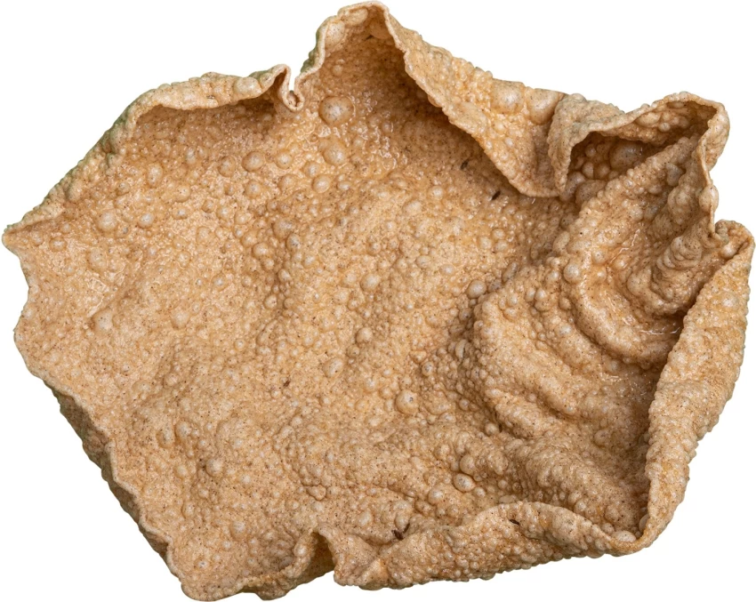 Nagali Papad