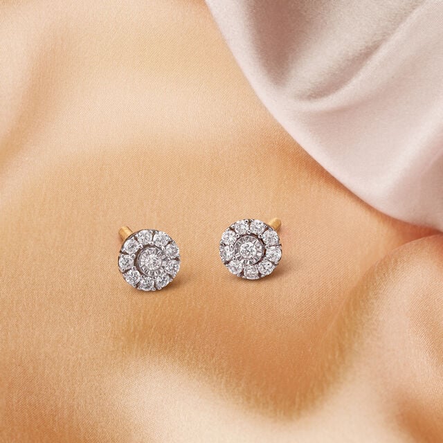 White Gold Earrings